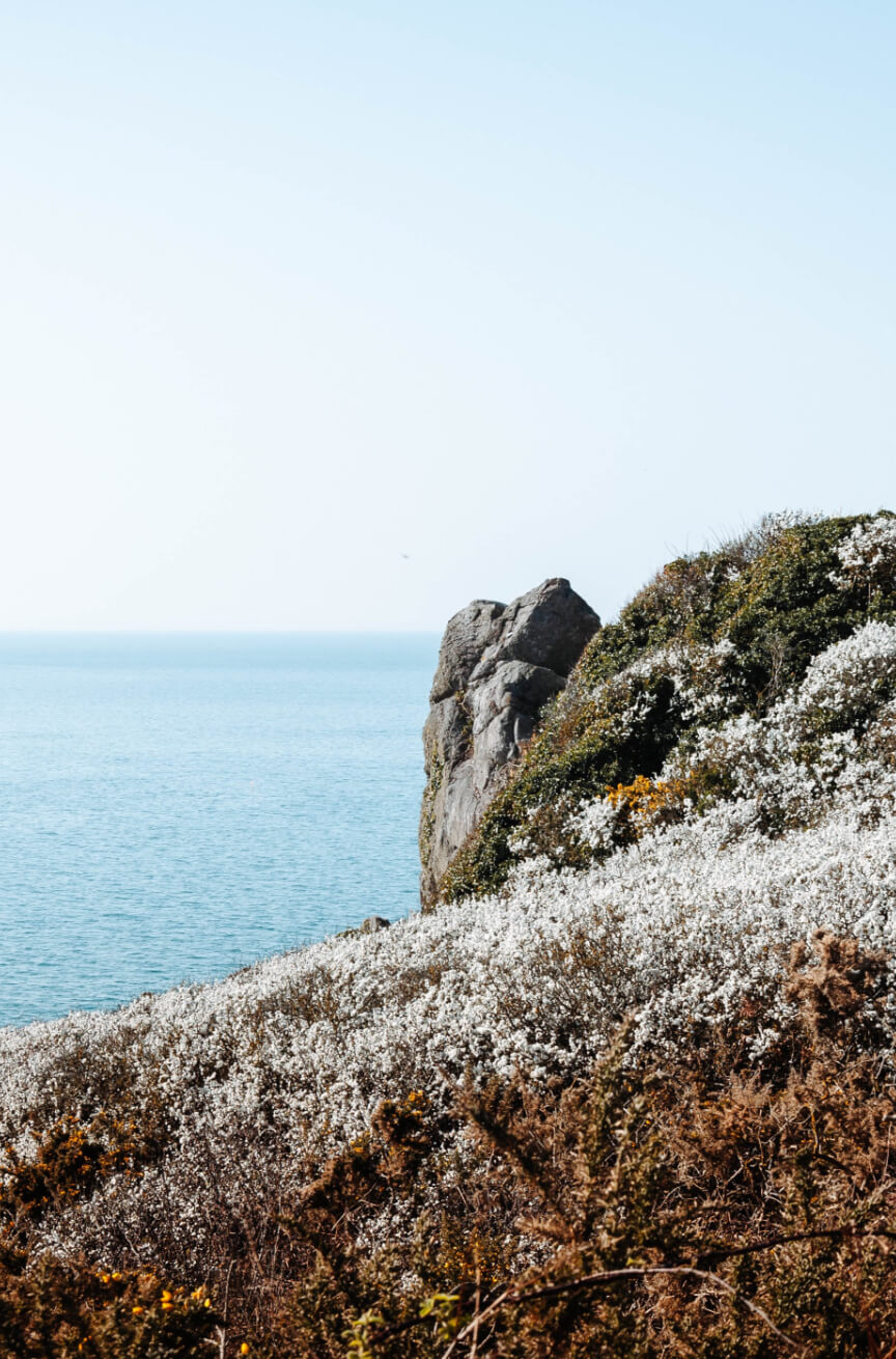 Cancale - Amille